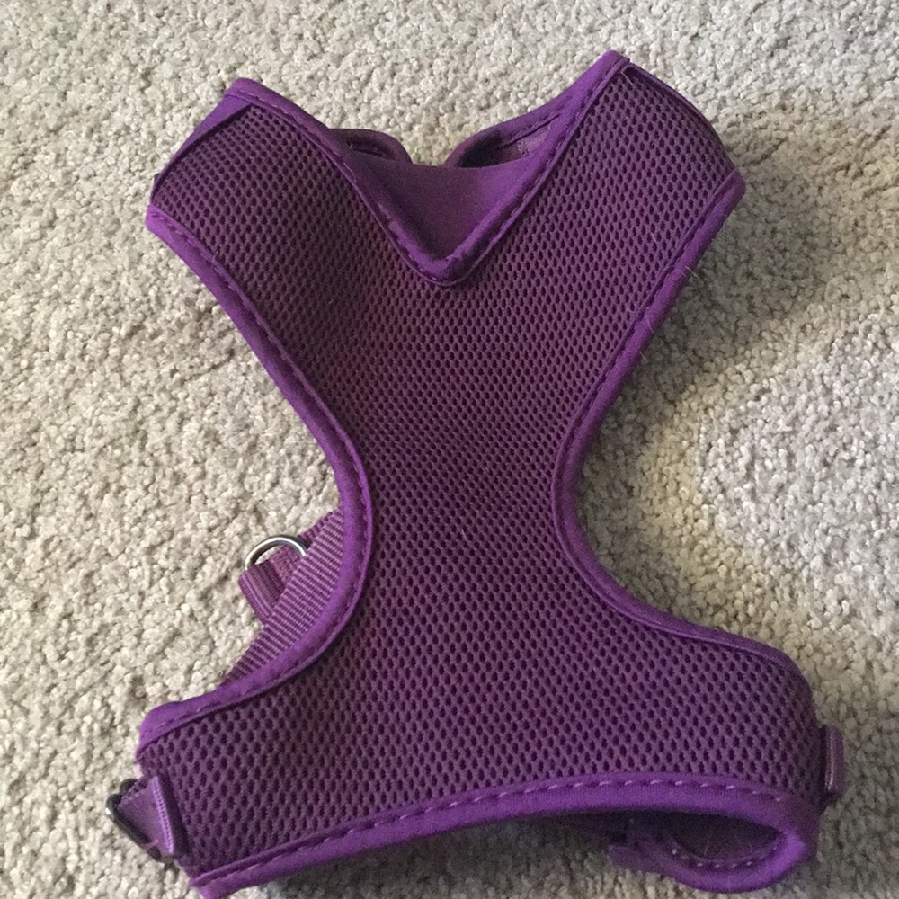 Dog harness